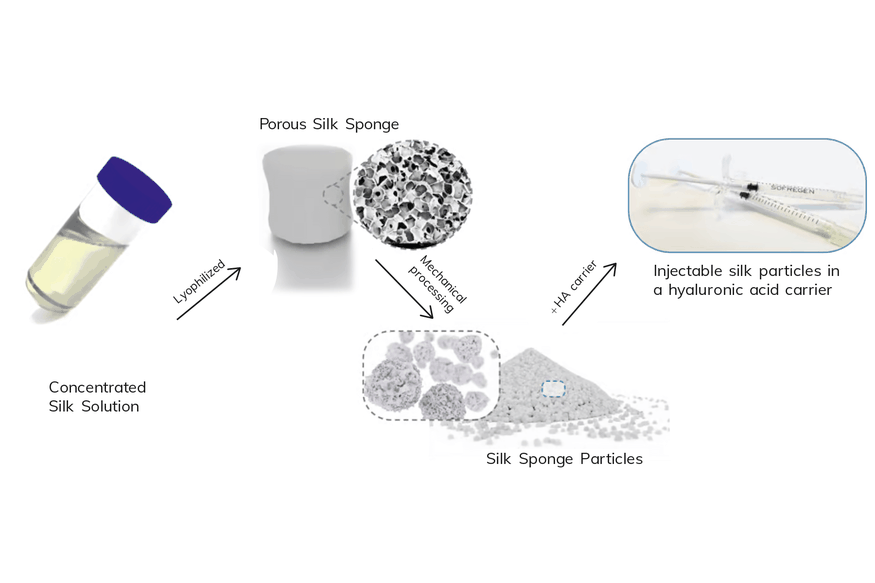 chart explaining the process of creating injectable silk processes, from concentrated liquid silk solution to a orous silk sponge, processed to silk sponge particles that can be injected in a hyaluronic acid acrrier